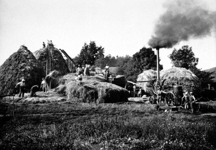 Moisson dans la Dombes