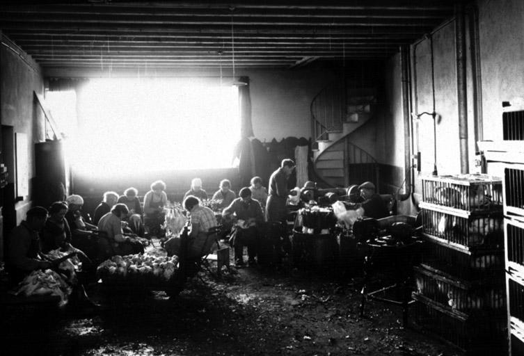 Coopérative avicole de Bourg. Atelier de plumage