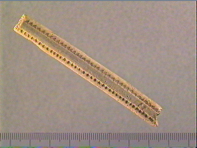 baguette demi-ronde