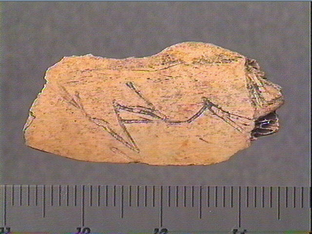 côte