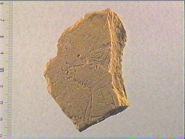 plaquette (fragment)