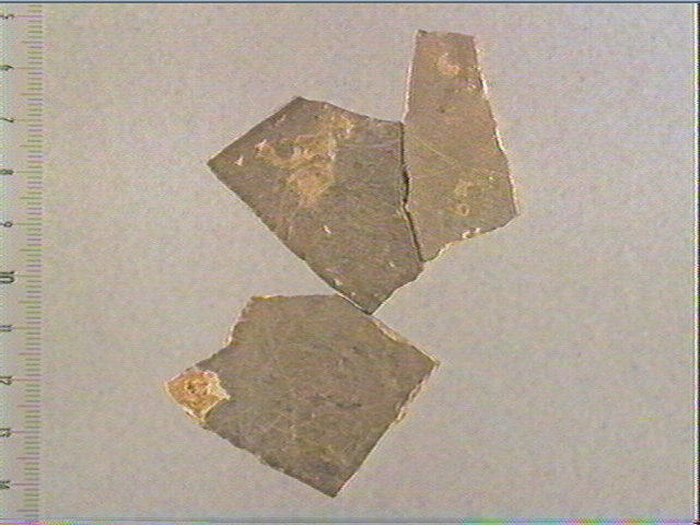 plaquette (fragment)