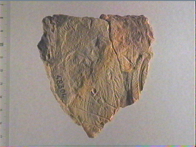 plaquette (fragment;3)