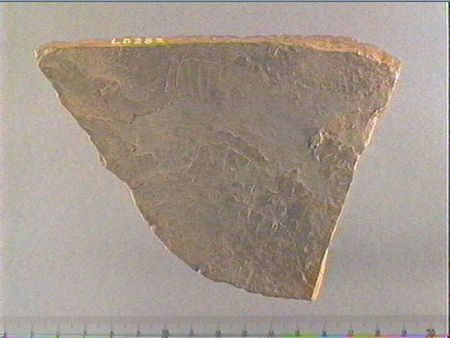 plaquette (fragment)
