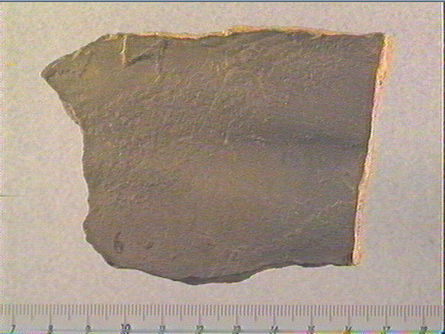 plaquette (fragment)