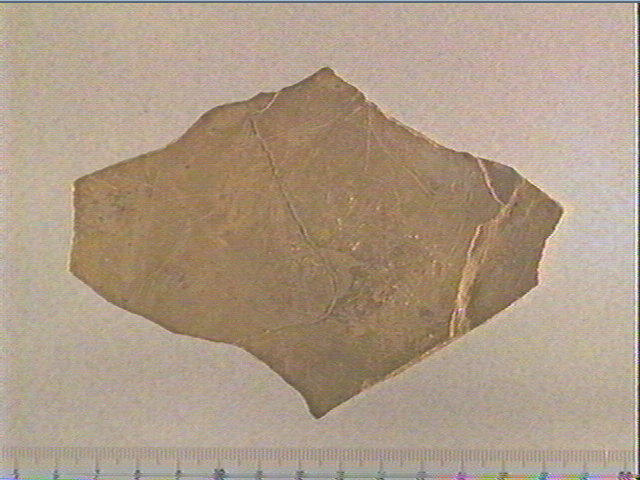 plaquette (fragment)