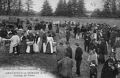 AMBERIEUX-en-DOMBES (Ain) / Champ de Foire