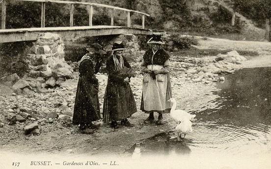 157 BUSSET. - Gardeuses d'Oies.