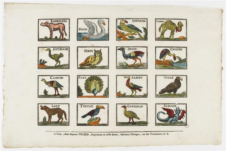 Planche d'animaux (titre factice)